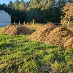 ck lawn and landscaping 2026 02 16T15 27 52.651418Z 019c6710 874c 7ff4 a510 066dc1bd788d