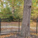 ck lawn and landscaping 2026 02 16T15 28 40.031865Z 019c6711 4ea2 7c61 971f f60fd051f80c